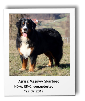 Ajrisz Majowy Skarbiec      HD-A, ED-0, gen.getestet                *29.07.2019