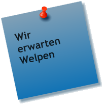 Wir erwarten Welpen
