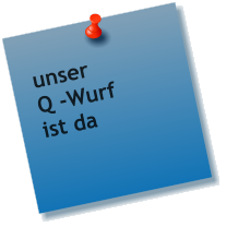 unser Q -Wurf ist da