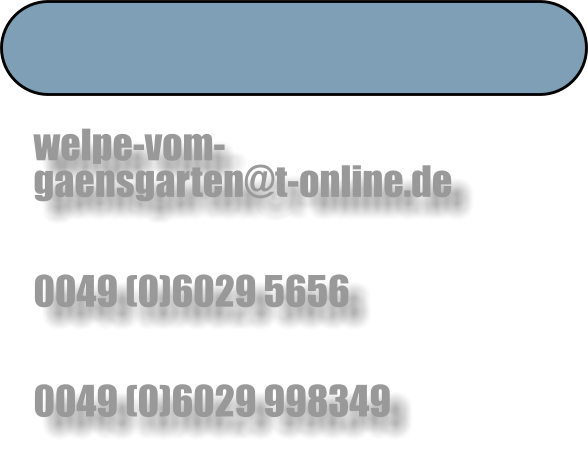 welpe-vom-gaensgarten@t-online.de   0049 (0)6029 5656   0049 (0)6029 998349