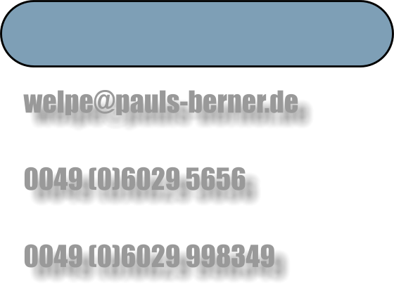 welpe@pauls-berner.de   0049 (0)6029 5656   0049 (0)6029 998349