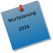 Wurfplanung       2026