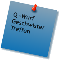 Q -Wurf Geschwister Treffen
