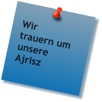 Wir trauern um unsere Ajrisz