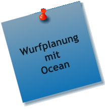 Wurfplanung mit Ocean