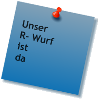 Unser R- Wurf ist  da