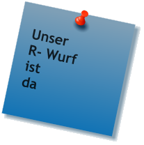 Unser R- Wurf ist  da
