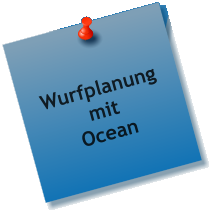 Wurfplanung mit Ocean